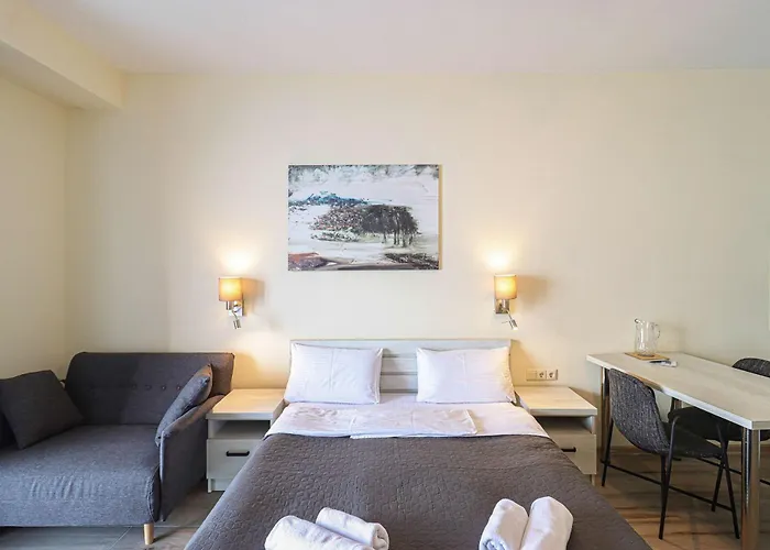 Cozy Studio Ski In Out Apartment In New Gudauri
